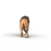 African Lion Schleich Figurine