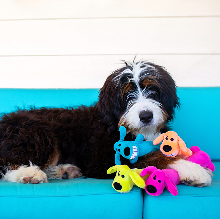 Loofa Dog Pet Toy- Large, Assorted Colors