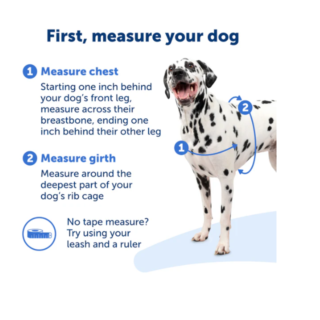 PetSafe Easy Walk Harness  - Black/Silver