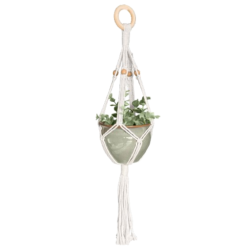 Box Set: Simple Single Macramé Plant Hanger & Sage Green Ceramic Pot