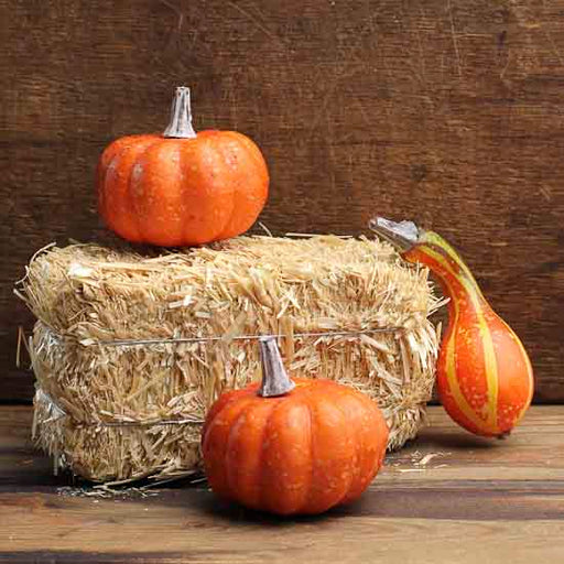 Mini Straw Bale