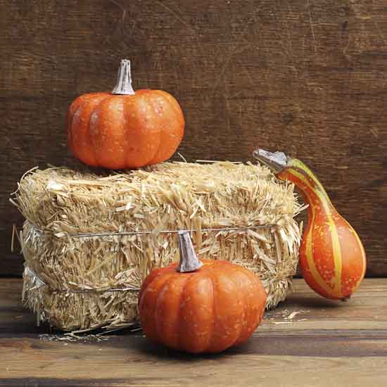 Mini Straw Bale
