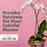 Miracle-Gro® Indoor Plant Food Mist for Orchids 8 oz.