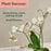 Miracle-Gro® Indoor Plant Food Mist for Orchids 8 oz.