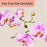 Miracle-Gro® Indoor Plant Food Mist for Orchids 8 oz.