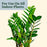 Miracle-Gro® Plant Care Gnat Control + Plant Food, 1.1 oz