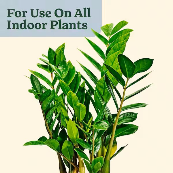 Miracle-Gro® Plant Care Gnat Control + Plant Food, 1.1 oz