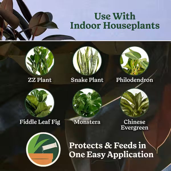 Miracle-Gro® Plant Care Gnat Control + Plant Food, 1.1 oz