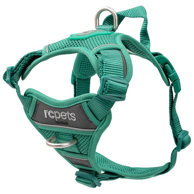 Momentum Control Dog Harness, Parakeet