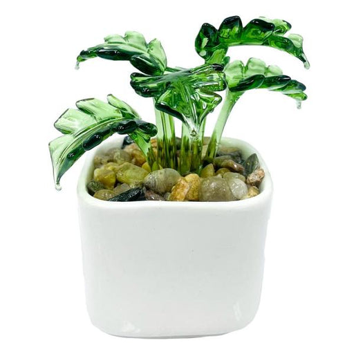 Mini Monstera Plant Milano Art Glass