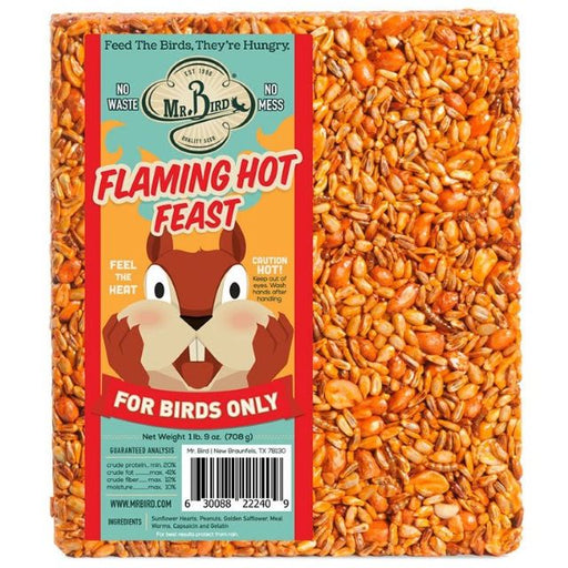 Mr. Bird Flaming Hot Feast Seed Cake, Large
