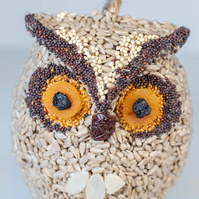 Mr. Bird Whoo-Lio Owl Bird Seed Treat