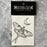 Luna Moth Temporary Tattoo
