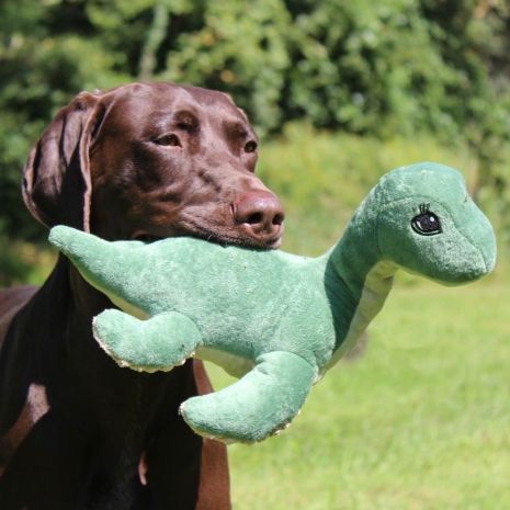 Tall Tails Nessie with Squeaker & Internal Rope Structure 13" Dog Toy
