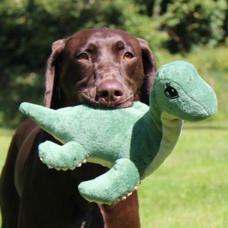 Tall Tails Nessie with Squeaker & Internal Rope Structure 13" Dog Toy