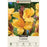 Canna Lily 'Chocolate Sunrise' Pack of 2 Rhizomes