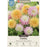 Dahlia 'What's Your Motto Blend' Mixture, Pack of 3 Tubers