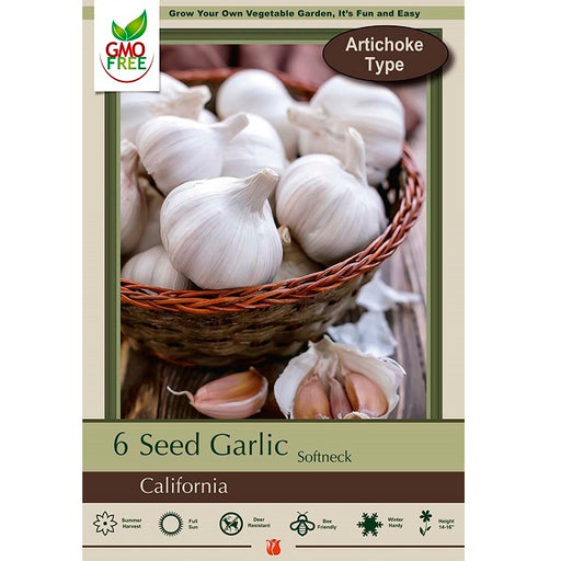 Softneck Garlic, Artichoke Type (California Seed Garlic)- 6 Pack