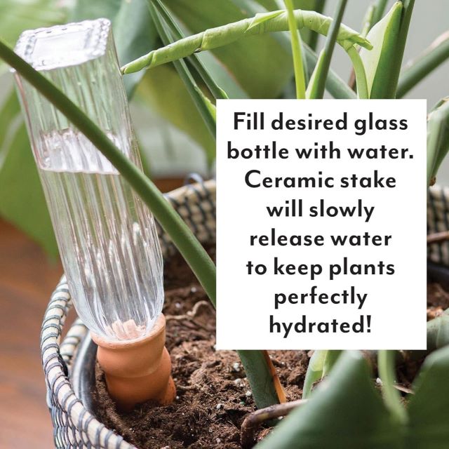 indoor plant watering cart Never Dry Plant Pal with Vintage Bottle
