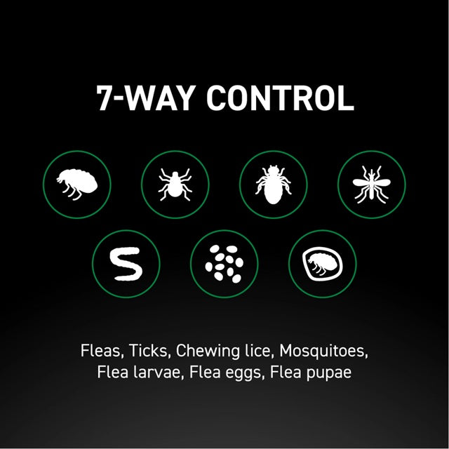 NEXTSTAR™ Flea & Tick Topical for Large Dogs 45-88 lbs, 3 Pack