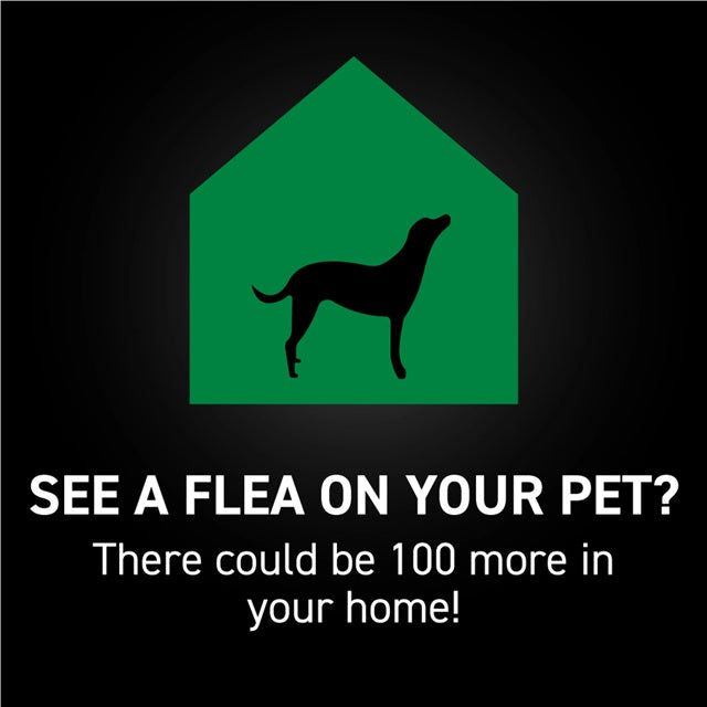 NEXTSTAR™ Flea & Tick Topical for Large Dogs 45-88 lbs, 3 Pack