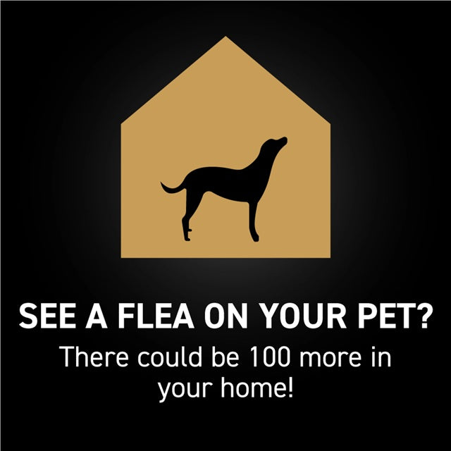 NEXTSTAR™ Flea & Tick Topical for Medium Dogs 23-44 lbs, 3 Pack