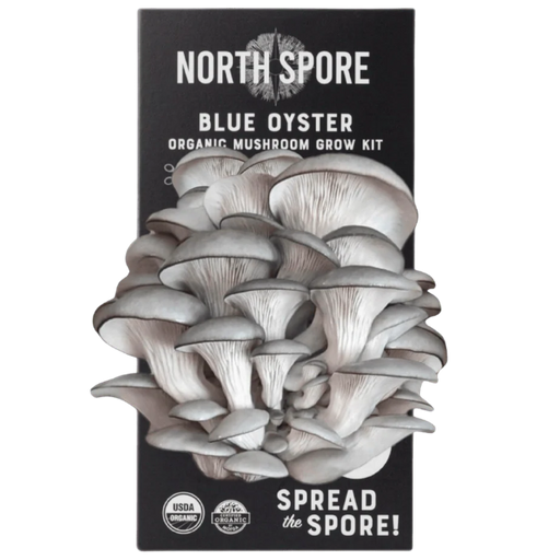 Blue Oyster ‘Spray & Grow’ Organic Mushroom Growing Kit