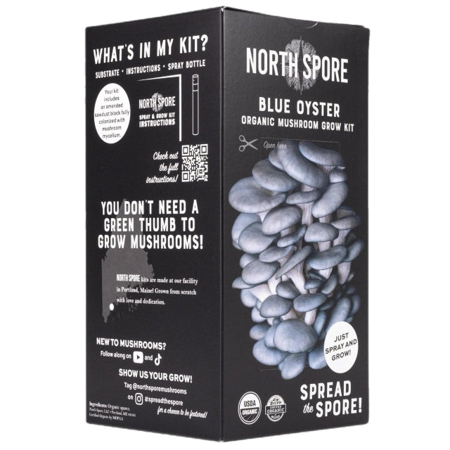 Blue Oyster ‘Spray & Grow’ Organic Mushroom Growing Kit