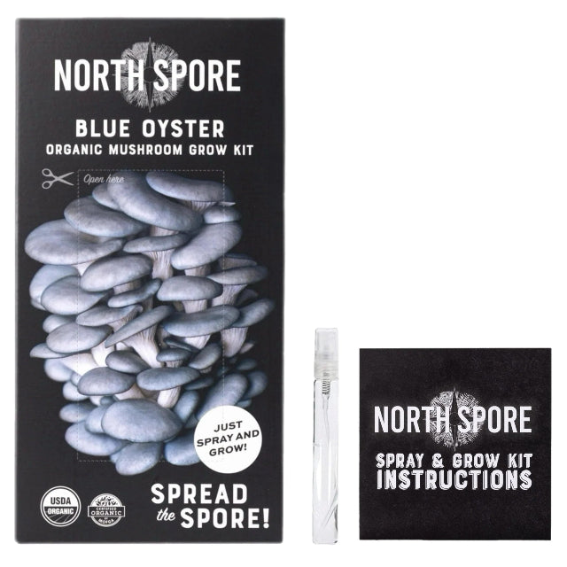 Blue Oyster ‘Spray & Grow’ Organic Mushroom Growing Kit