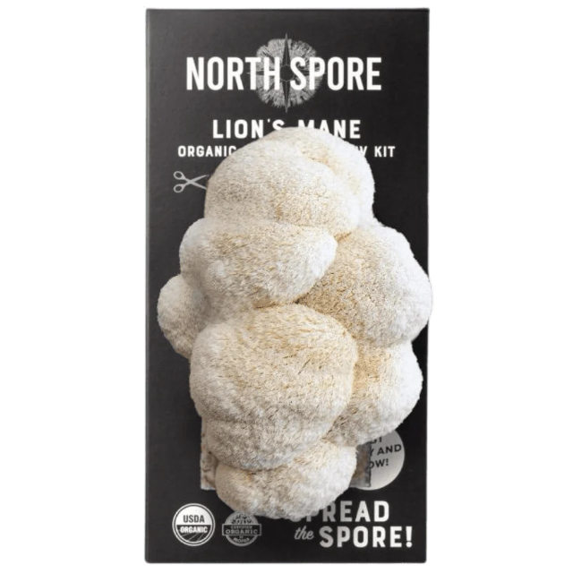 Lion's Mane ‘Spray & Grow’ Organic Mushroom Growing Kit
