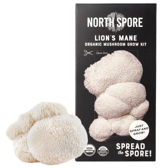 Lion's Mane ‘Spray & Grow’ Organic Mushroom Growing Kit