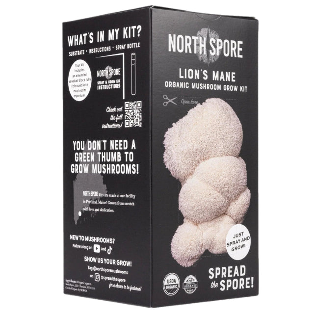 Lion's Mane ‘Spray & Grow’ Organic Mushroom Growing Kit