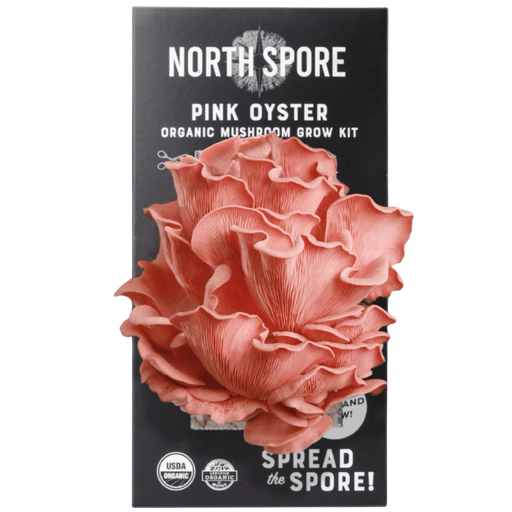 Pink Oyster ‘Spray & Grow’ Organic Mushroom Growing Kit