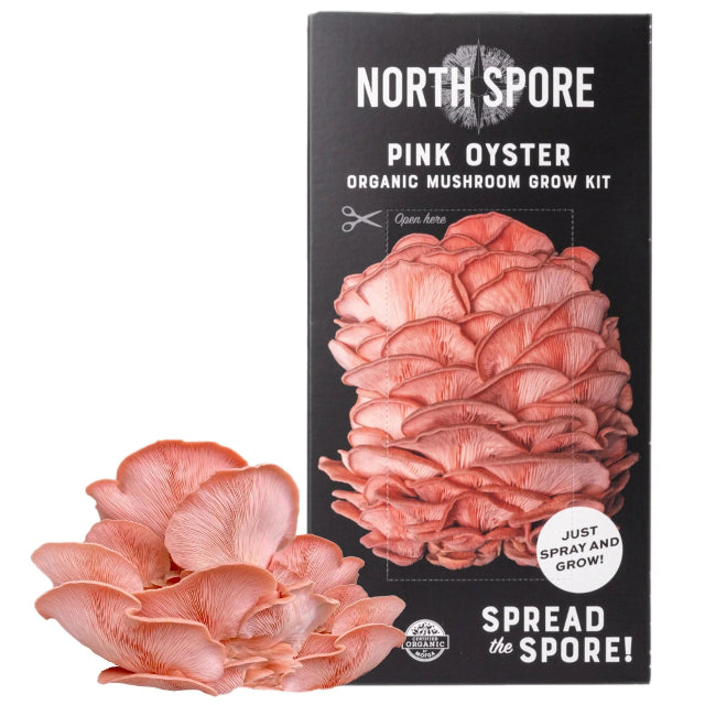 Pink Oyster ‘Spray & Grow’ Organic Mushroom Growing Kit