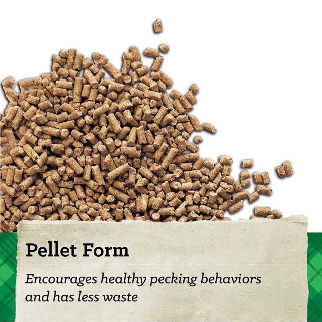 NatureWise Feather Fixer Poultry Feed 40-Lbs.