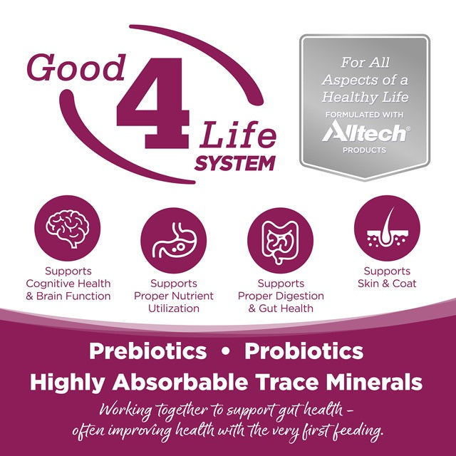 NutriSource Cat & Kitten Chicken & Rice Recipe Dry Cat Food 4-Lbs.