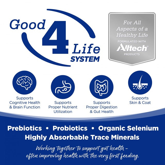 Nutrisource® Dog Trout & Rice Food, 12.3-oz Can