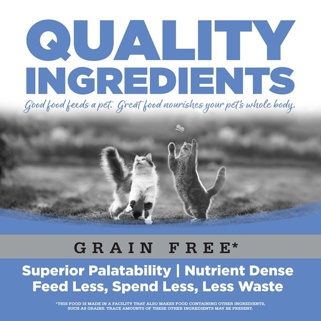 Pure Vita Limited Ingredient Turkey Entrée Grain Free Canned Cat Food 5.5-oz Can