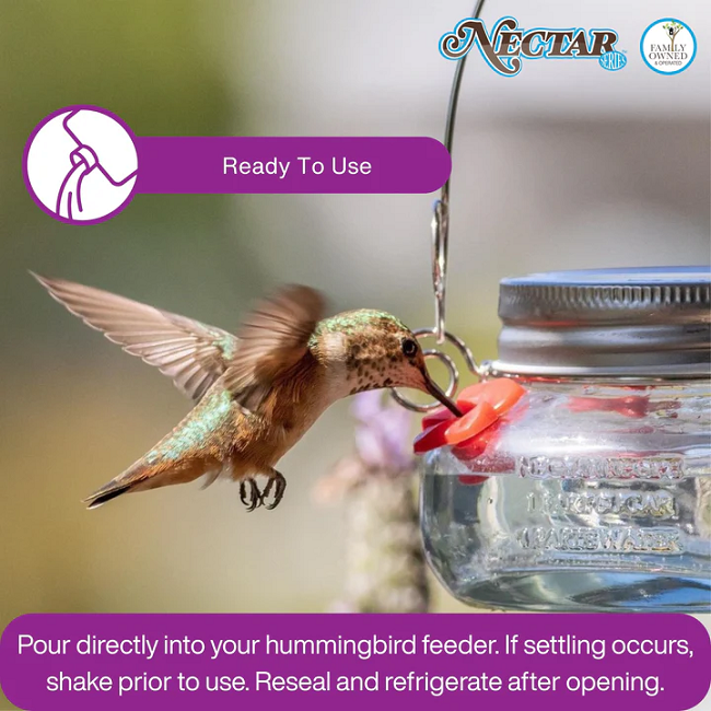 Nature's Way Ready-to-Use Clear Hummingbird Nectar, 8.5 oz