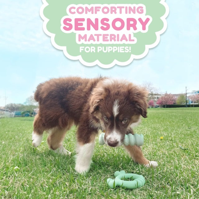 Nylabone Puppy Sensory Material Teething Ring