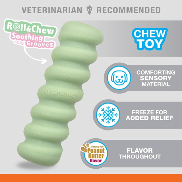 Nylabone Puppy Sensory Material Teething Stick