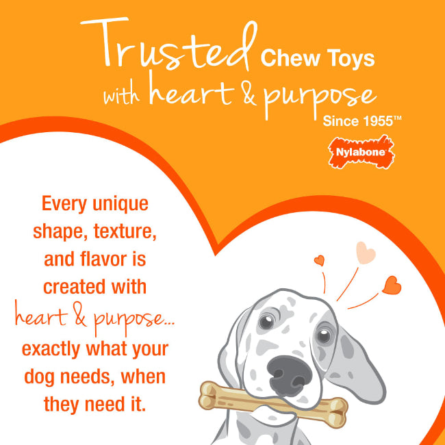 Nylabone Power Chew Easy Hold Bone Large