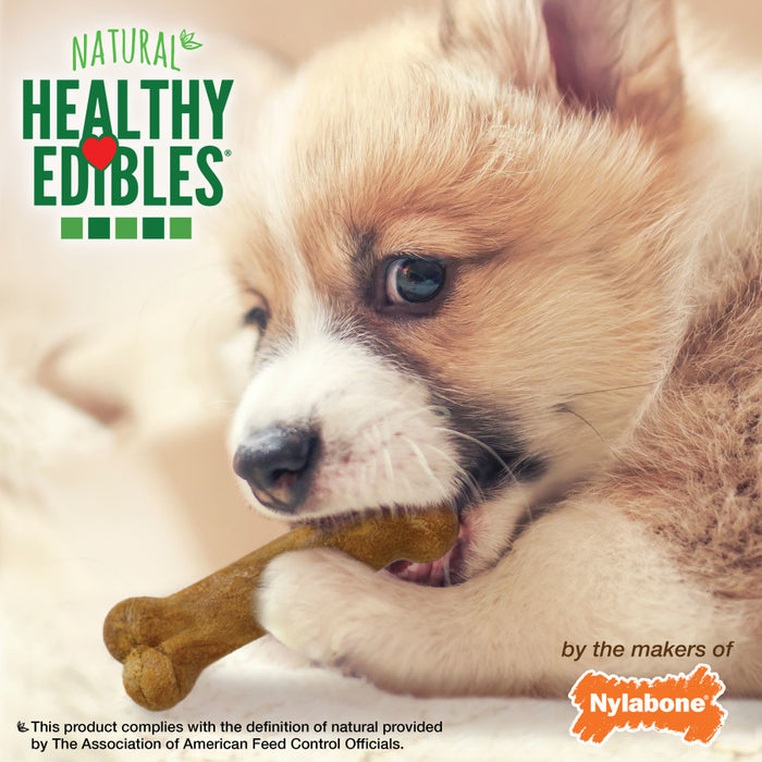 Nylabone Healthy Edibles Natural Puppy Chews, Lamb & Apple Petite 8-Pack