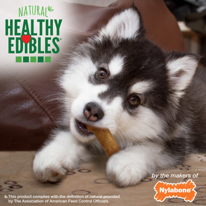 Nylabone Healthy Edibles Natural Puppy Chews, Lamb & Apple Small/Regular 3-Pack