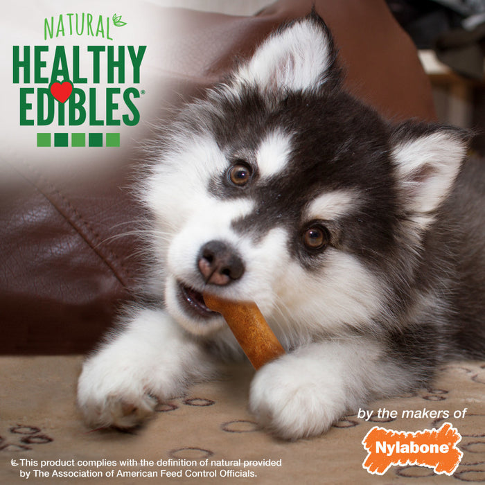 Nylabone Healthy Edibles Natural Puppy Chews,Turkey & Sweet Potato Petite 4-Pack