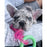 Nylabone Puppy Pacifier Teething Toy