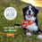 Nylabone Power Chew Love our Oceans Frenzy Bone Dog Chew Toy