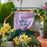 Rosy Soil Indoor Orchid Potting Mix 4 qt