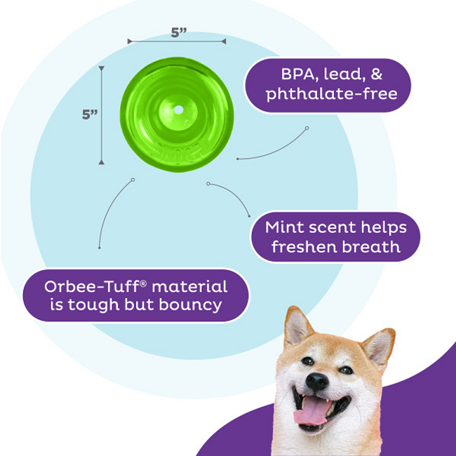 Outward Hound Orbee-Tuff Snoop Interactive Treat Dispensing Dog Toy Green