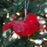 Cardinal Felt Wool Ornament